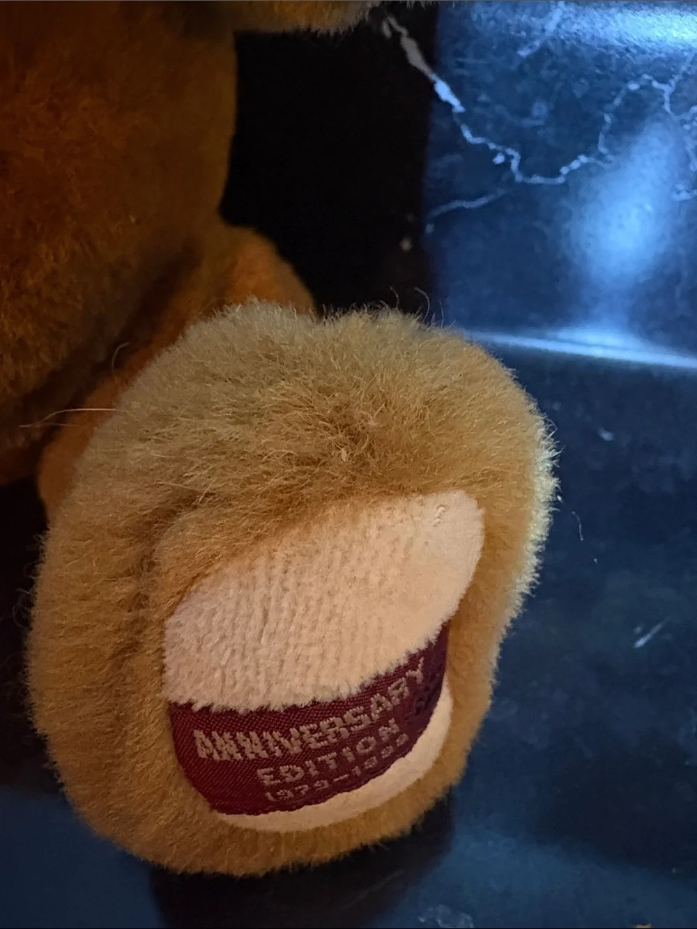 Boyd’s Matthew Bear